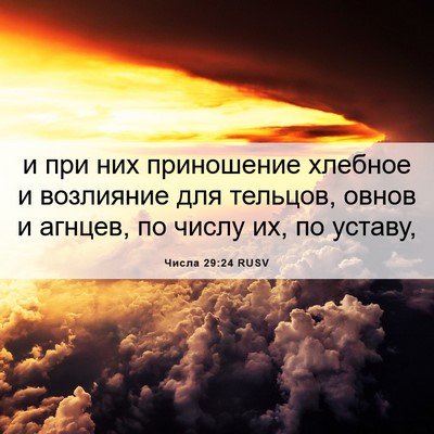 Picture 06 - Числа 29:24 RUSV - и при них приношение - Bible Verse Picture