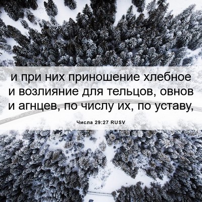Picture 06 - Числа 29:27 RUSV - и при них приношение - Bible Verse Picture