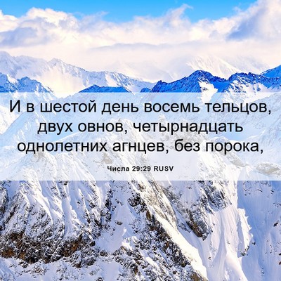 Picture 06 - Числа 29:29 RUSV - И в шестой день восемь - Bible Verse Picture