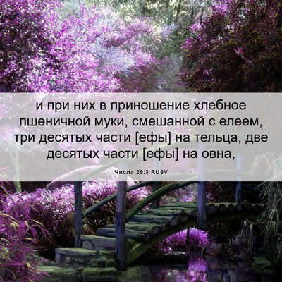 Picture 06 - Числа 29:3 RUSV - и при них в приношение - Bible Verse Picture