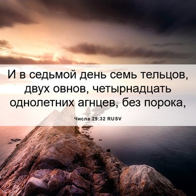 Picture 06 - Числа 29:32 RUSV - И в седьмой день семь - Bible Verse Picture