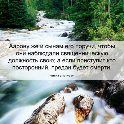 Picture 06 - Числа 3:10 RUSV - Аарону же и сынам его - Bible Verse Picture