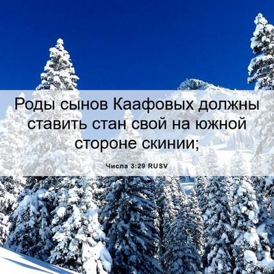 Picture 06 - Числа 3:29 RUSV - Роды сынов Каафовых должны - Bible Verse Picture