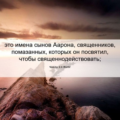 Picture 06 - Числа 3:3 RUSV - это имена сынов Аарона, - Bible Verse Picture