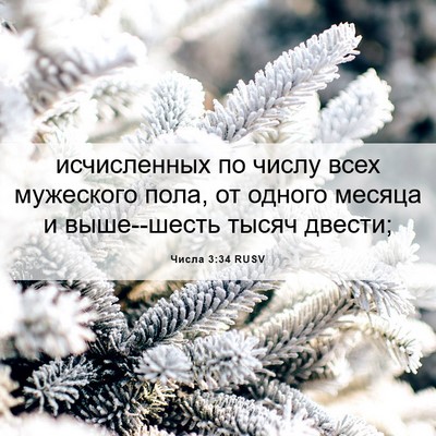 Picture 06 - Числа 3:34 RUSV - исчисленных по числу всех - Bible Verse Picture
