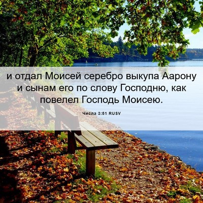 Picture 06 - Числа 3:51 RUSV - и отдал Моисей серебро - Bible Verse Picture