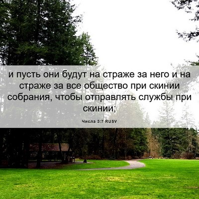 Picture 06 - Числа 3:7 RUSV - и пусть они будут на страже - Bible Verse Picture