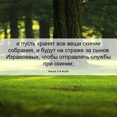 Picture 06 - Числа 3:8 RUSV - и пусть хранят все вещи - Bible Verse Picture