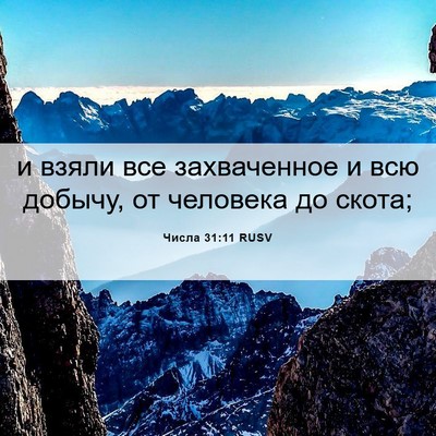Picture 06 - Числа 31:11 RUSV - и взяли все захваченное и - Bible Verse Picture