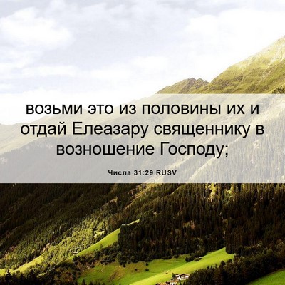 Picture 06 - Числа 31:29 RUSV - возьми это из половины их и - Bible Verse Picture