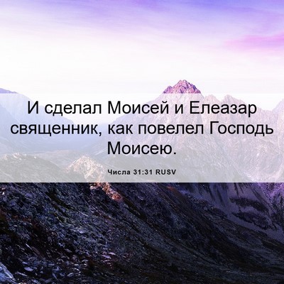 Picture 06 - Числа 31:31 RUSV - И сделал Моисей и Елеазар - Bible Verse Picture