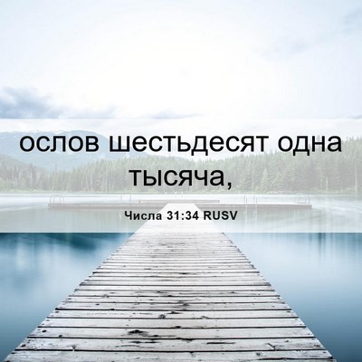Picture 06 - Числа 31:34 RUSV - ослов шестьдесят одна - Bible Verse Picture