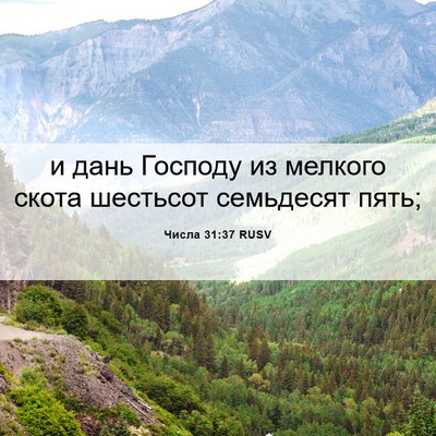 Picture 06 - Числа 31:37 RUSV - и дань Господу из мелкого - Bible Verse Picture