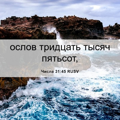 Picture 06 - Числа 31:45 RUSV - ослов тридцать тысяч - Bible Verse Picture