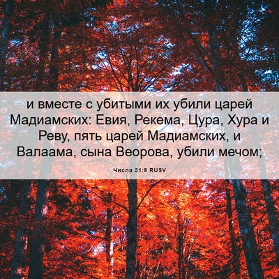 Picture 06 - Числа 31:8 RUSV - и вместе с убитыми их убили - Bible Verse Picture