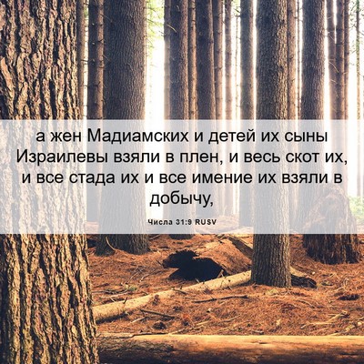 Picture 06 - Числа 31:9 RUSV - а жен Мадиамских и детей их - Bible Verse Picture