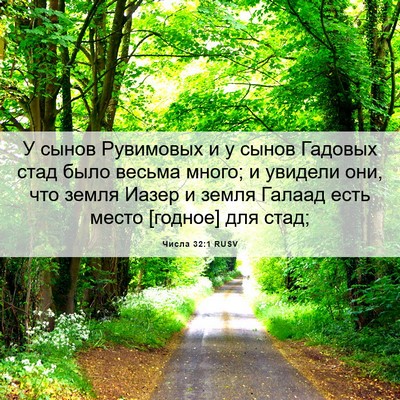Picture 06 - Числа 32:1 RUSV - У сынов Рувимовых и у сынов - Bible Verse Picture