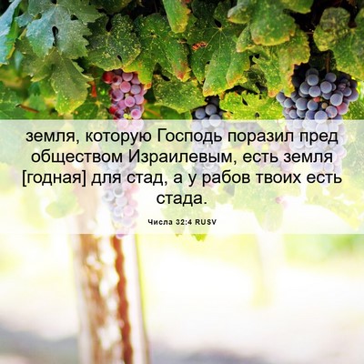 Picture 06 - Числа 32:4 RUSV - земля, которую Господь - Bible Verse Picture