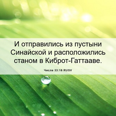 Picture 06 - Числа 33:16 RUSV - И отправились из пустыни - Bible Verse Picture