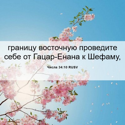 Picture 06 - Числа 34:10 RUSV - границу восточную - Bible Verse Picture