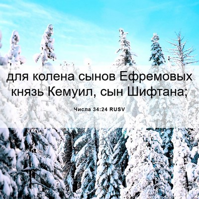 Picture 06 - Числа 34:24 RUSV - для колена сынов Ефремовых - Bible Verse Picture