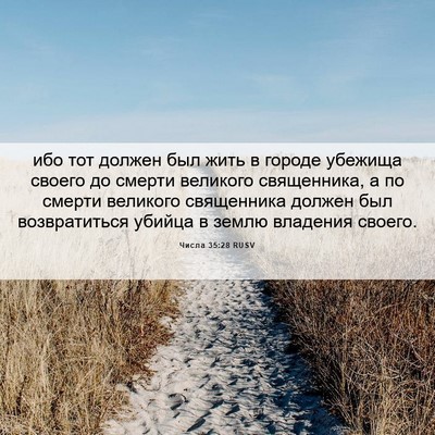 Picture 06 - Числа 35:28 RUSV - ибо тот должен был жить в - Bible Verse Picture