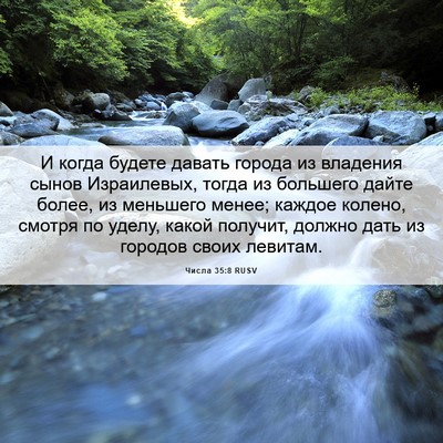 Picture 06 - Числа 35:8 RUSV - И когда будете давать - Bible Verse Picture