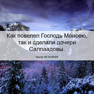 Picture 06 - Числа 36:10 RUSV - Как повелел Господь - Bible Verse Picture
