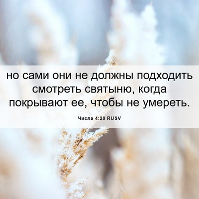 Picture 06 - Числа 4:20 RUSV - но сами они не должны - Bible Verse Picture