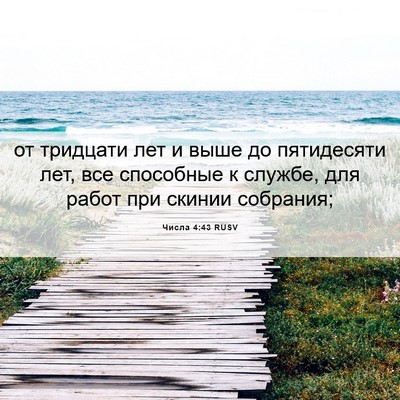 Picture 06 - Числа 4:43 RUSV - от тридцати лет и выше до - Bible Verse Picture