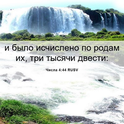Picture 06 - Числа 4:44 RUSV - и было исчислено по родам - Bible Verse Picture