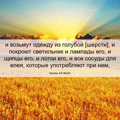 Picture 06 - Числа 4:9 RUSV - и возьмут одежду из - Bible Verse Picture