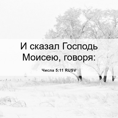 Picture 06 - Числа 5:11 RUSV - И сказал Господь Моисею, - Bible Verse Picture