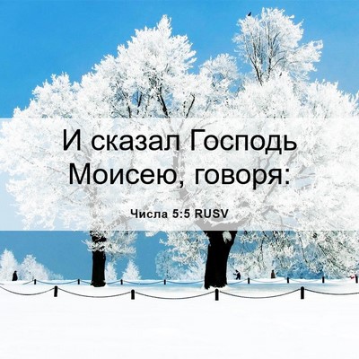 Picture 06 - Числа 5:5 RUSV - И сказал Господь Моисею, - Bible Verse Picture