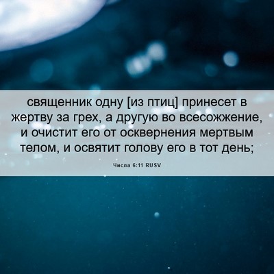 Picture 06 - Числа 6:11 RUSV - священник одну [из птиц] - Bible Verse Picture