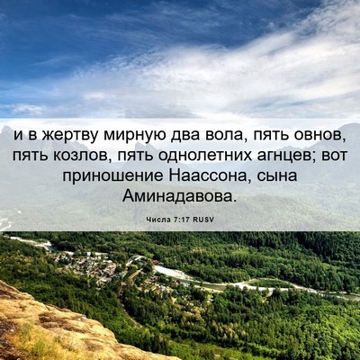Picture 06 - Числа 7:17 RUSV - и в жертву мирную два вола, - Bible Verse Picture