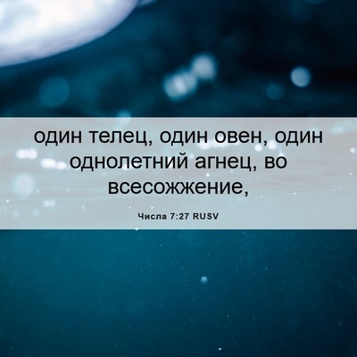 Picture 06 - Числа 7:27 RUSV - один телец, один овен, один - Bible Verse Picture