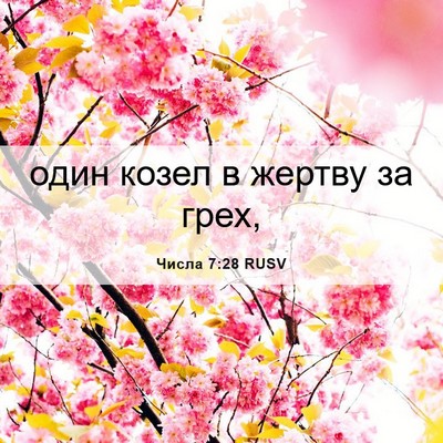 Picture 06 - Числа 7:28 RUSV - один козел в жертву за - Bible Verse Picture