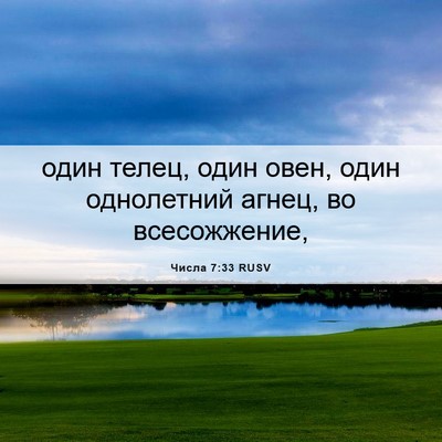Picture 06 - Числа 7:33 RUSV - один телец, один овен, один - Bible Verse Picture
