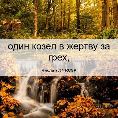 Picture 06 - Числа 7:34 RUSV - один козел в жертву за - Bible Verse Picture