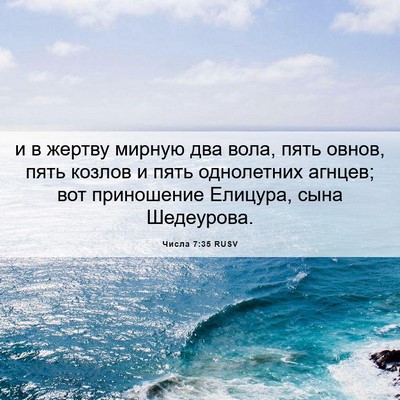 Picture 06 - Числа 7:35 RUSV - и в жертву мирную два вола, - Bible Verse Picture