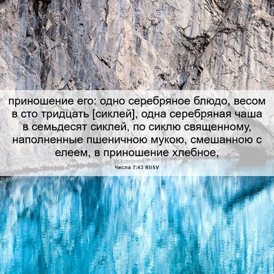Picture 06 - Числа 7:43 RUSV - приношение его: одно - Bible Verse Picture