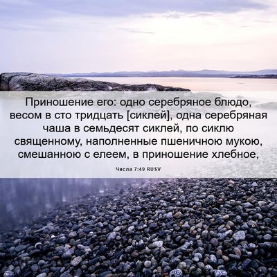 Picture 06 - Числа 7:49 RUSV - Приношение его: одно - Bible Verse Picture