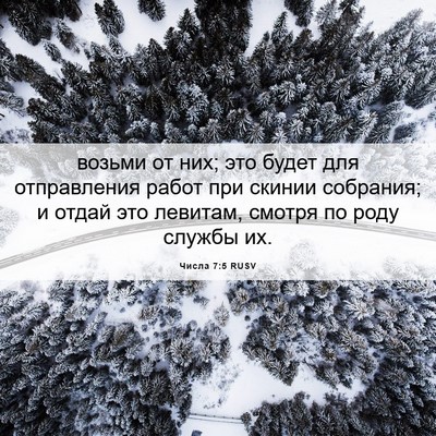 Picture 06 - Числа 7:5 RUSV - возьми от них; это будет - Bible Verse Picture