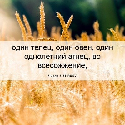 Picture 06 - Числа 7:51 RUSV - один телец, один овен, один - Bible Verse Picture