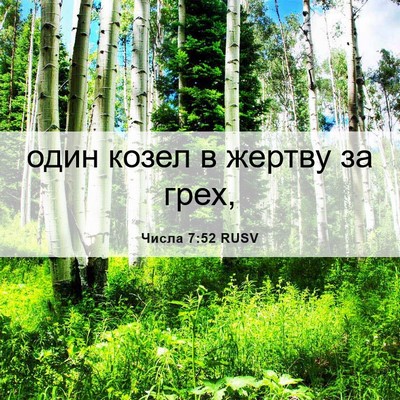 Picture 06 - Числа 7:52 RUSV - один козел в жертву за - Bible Verse Picture