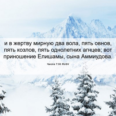 Picture 06 - Числа 7:53 RUSV - и в жертву мирную два вола, - Bible Verse Picture