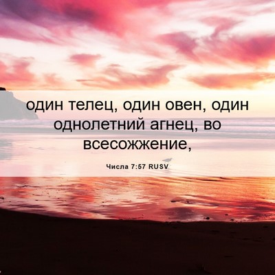 Picture 06 - Числа 7:57 RUSV - один телец, один овен, один - Bible Verse Picture