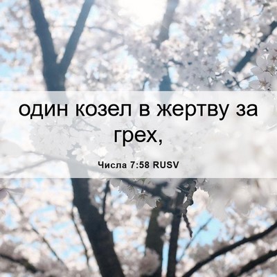 Picture 06 - Числа 7:58 RUSV - один козел в жертву за - Bible Verse Picture