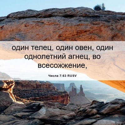 Picture 06 - Числа 7:63 RUSV - один телец, один овен, один - Bible Verse Picture